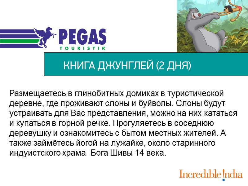 КНИГА ДЖУНГЛЕЙ (2 ДНЯ) Размещаетесь в глинобитных домиках в туристической деревне, где проживают слоны